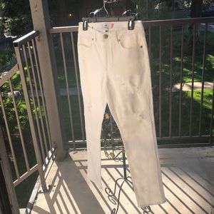 Cabi Whit Pant High Slim 5305